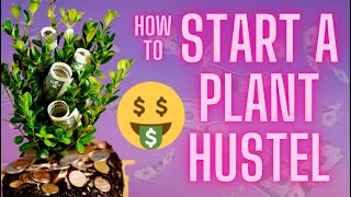 How To Make Money With Houseplants For Beginners 🪴🤑