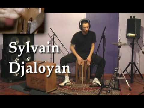 Petteri Sariola ft Sylvain Djaloyan - Distorted Love (2010)