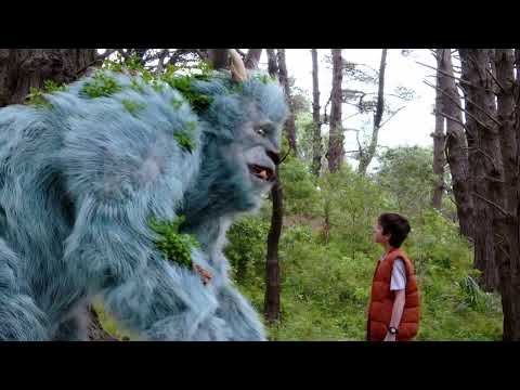 Echoes of the Wild: VFX Before & Afters