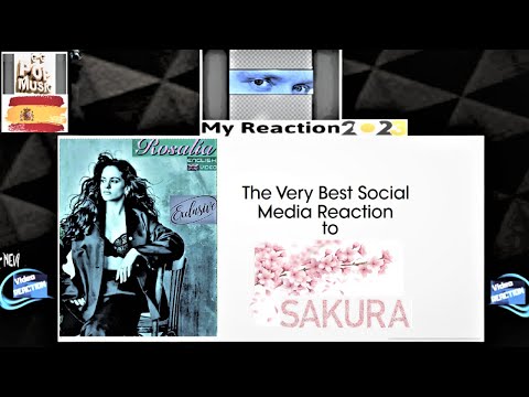 C-C Euro Pop Music -ROSALÍA - SAKURA (MOTOMAMI Tour Live) -Espectacular!