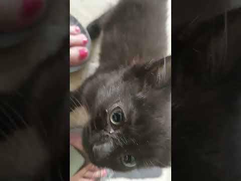 Oisín's first morning in his new home