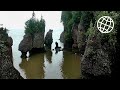 Hopewell Rocks