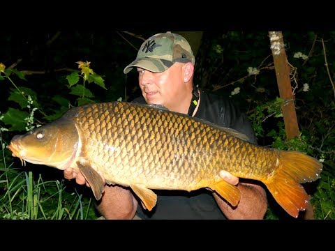 Karpfenangeln VTB 65 - Mit der Familie am kleinen Fluss // Mit Unterwasseraufnahmen