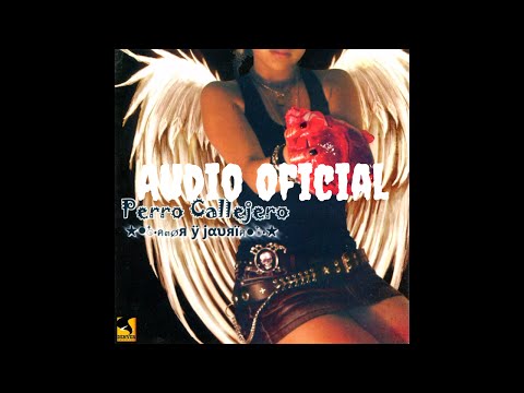 Perro Callejero - Tu Piel (Audio Oficial)