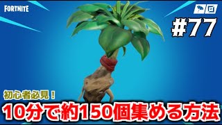 【フォートナイトPvE実況#77】恐らく最効率で薬草を集める方法を紹介【日本語版/世界を救え】