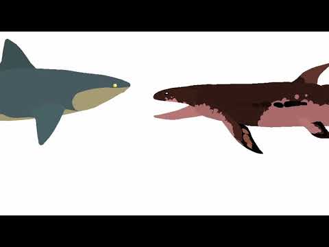 Physogaleus and edestus vs hyneria vs Cretaceous and maelstrom