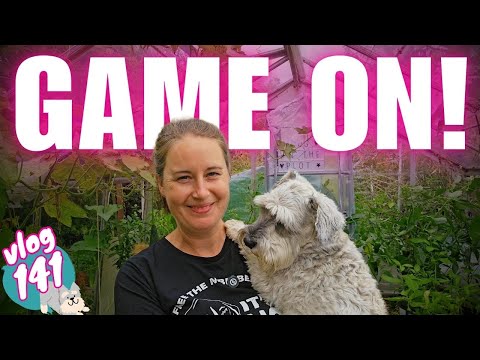 Ep141: This did NOT go to plan! | Horticultural Show | UK Garden & Allotment