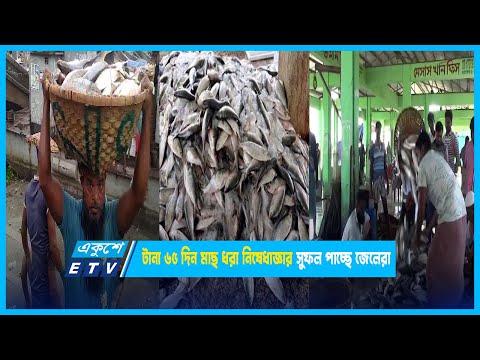 টানা ৬৫ দিন মাছ ধরা নিষেধাজ্ঞার সুফল পাচ্ছে জেলেরা | ETV News