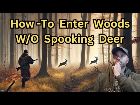 How to Enter Woods Deer Hunting #deerhunting