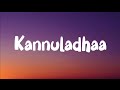 Kannuladha Three Movie Songs Lyrics 3 Dhanush Shruti Hassan Love Song