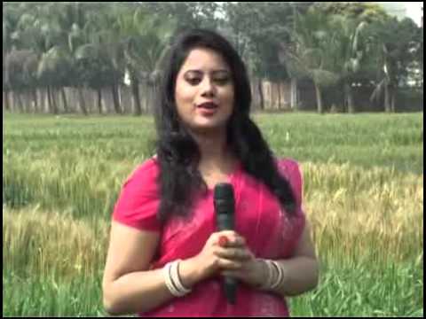 ভিডিও ১