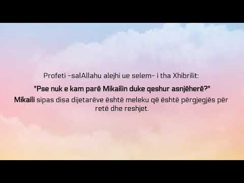 Pse nuk qesh Mikaili? - Abdurr-Razzak el-Bedr