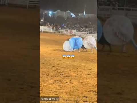 I can't stop watching 😂