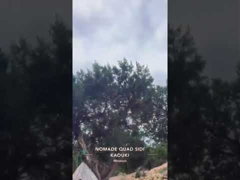 BIENVENUE chez hafidaandfamily  à la plage de SIDI kaouki