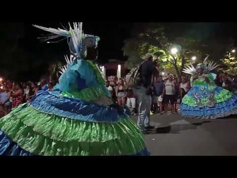 Carmo folia 2026 , Carmo da Mata M.G, 14/02/2026