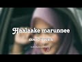 Haal Aake Marunne Slowed Reverb Sulaikha Manzil