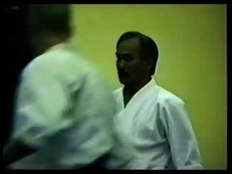 Shibata and Chiba Shihans - 1994 Summer Camp