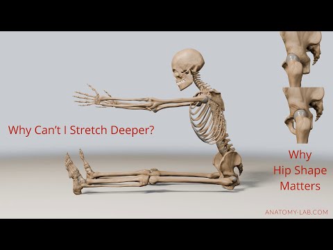Unlocking Your Hip Flexibility: Why Bone Structure Limits Your Range of Motion