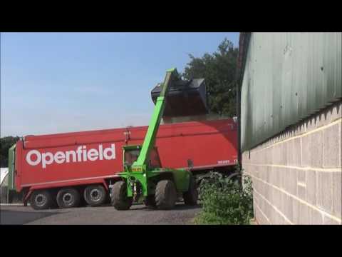 Loading the Grain Lorry with Merlo