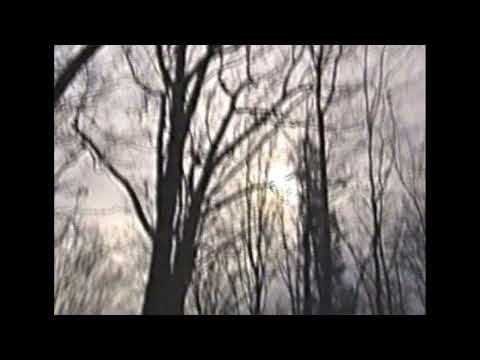 [free for profit] $uicideBoy$ x xavier wulf beat - "Hollow"