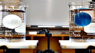 Beaker Ball Balance Problem