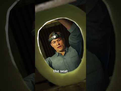 The Bear Hiding Under A Toilet 😨