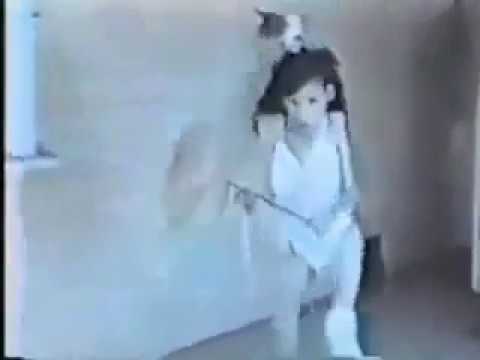 Obey the Walrus / Original