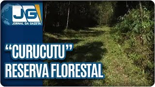 Miniatura do vídeo