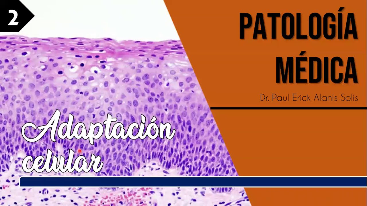 Adaptación celular 1/2