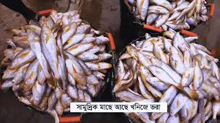 জাতীয় মৎস্য সপ্তাহ ২০২৫