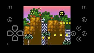 Super Mario World 2: Yoshi’s Island World 3 100% Walkthrough 