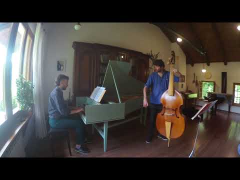 B. Marcello - Sonata II Op.2 in E minor - with violone