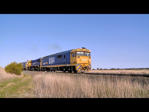 7733V Pacific National Grain Train Arrives At Gheringhap (27/9/2024) - PoathTV Australian Railways