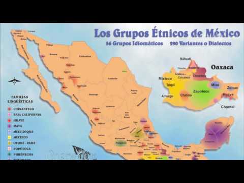 Leopoldo Valiñas Las lenguas indígenas frente al Español