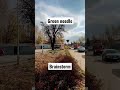 Po Ile Paliwo Benzyna Olej W Sobotę Weekend