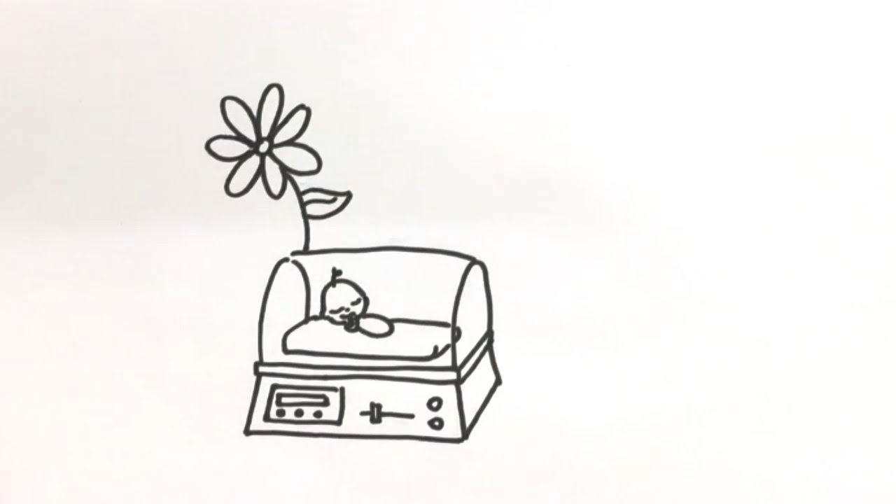 Política Nacional de Atenção Integral à Saúde da Criança (PNAISC) - DRAW MY LIFE