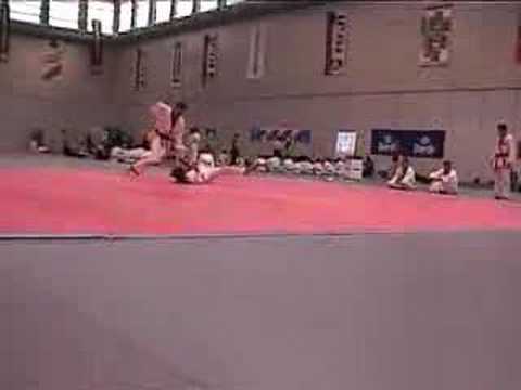 HAPKIDO EIAM 2008 SEBASTIAN VS PHILIP VENDETTA