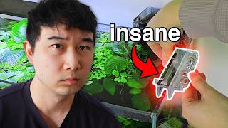 I found cheap TEMU fish tank stuff that BLEW MY MIND