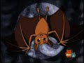 Go Diego Go A Blue Morpho Butterfly Was Born Finding The Blue Morpho Butterfly