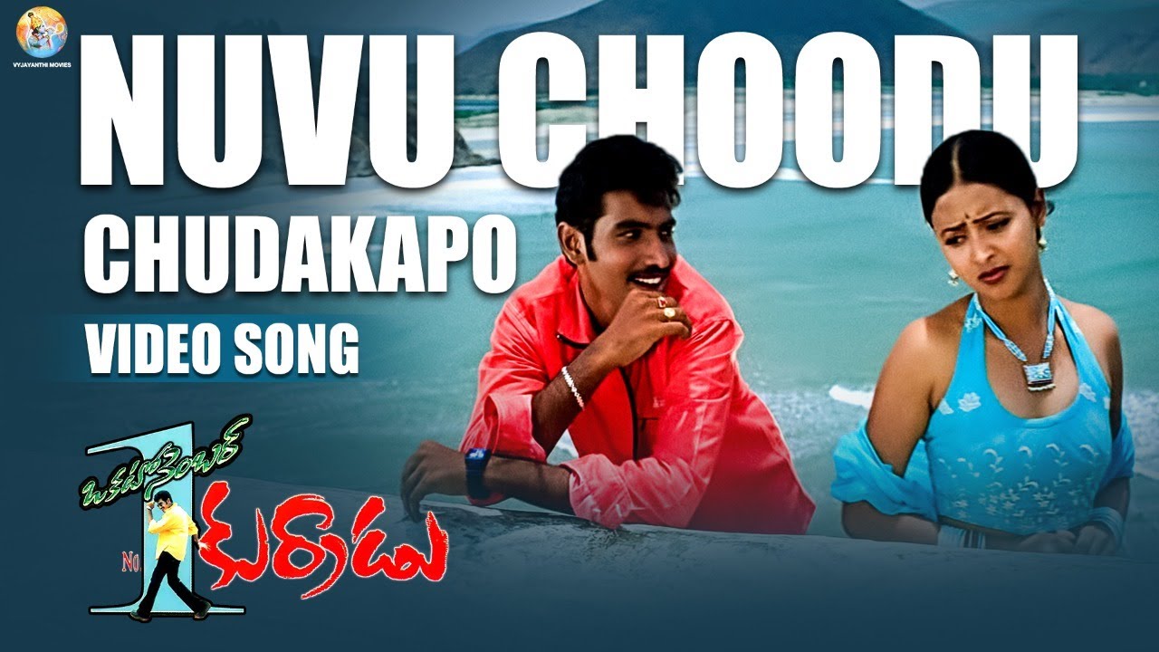 Nuvu Choodu Chudakapo