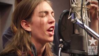 The Stray Birds - Wildflower Honey [Live at WAMU&#39;s Bluegrass Country]