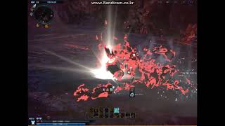 검투 중형솔플 정석. 51야수 솔플