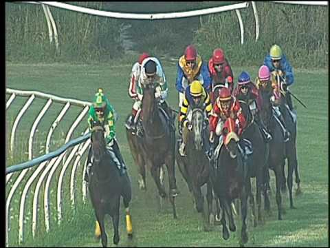 Galoppo 27/07/2016 - 2° corsa