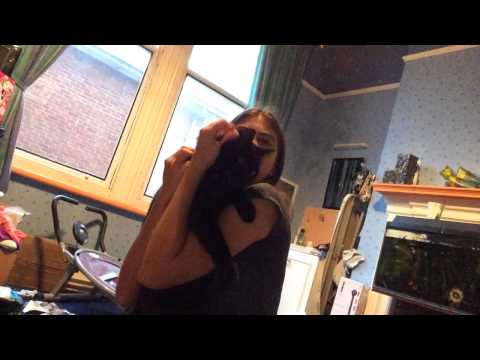 download lagu mp3 mp4 Roasted Bean Mix Recipe, download lagu Roasted Bean Mix Recipe gratis, unduh video klip Roasted Bean Mix Recipe