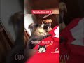 Skippity Paps Episode 1