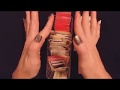 ASMR Request Arranging Sugar Sweetener Packets Crinkling Whispering