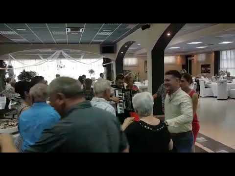 Ts Taubeki-  Harmonika intro