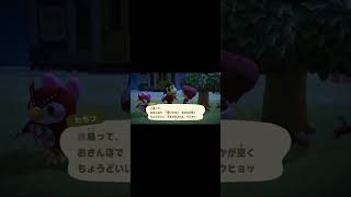 何を言うてますの【あつまれどうぶつの森】#あつ森 #shorts #ゲーム実況