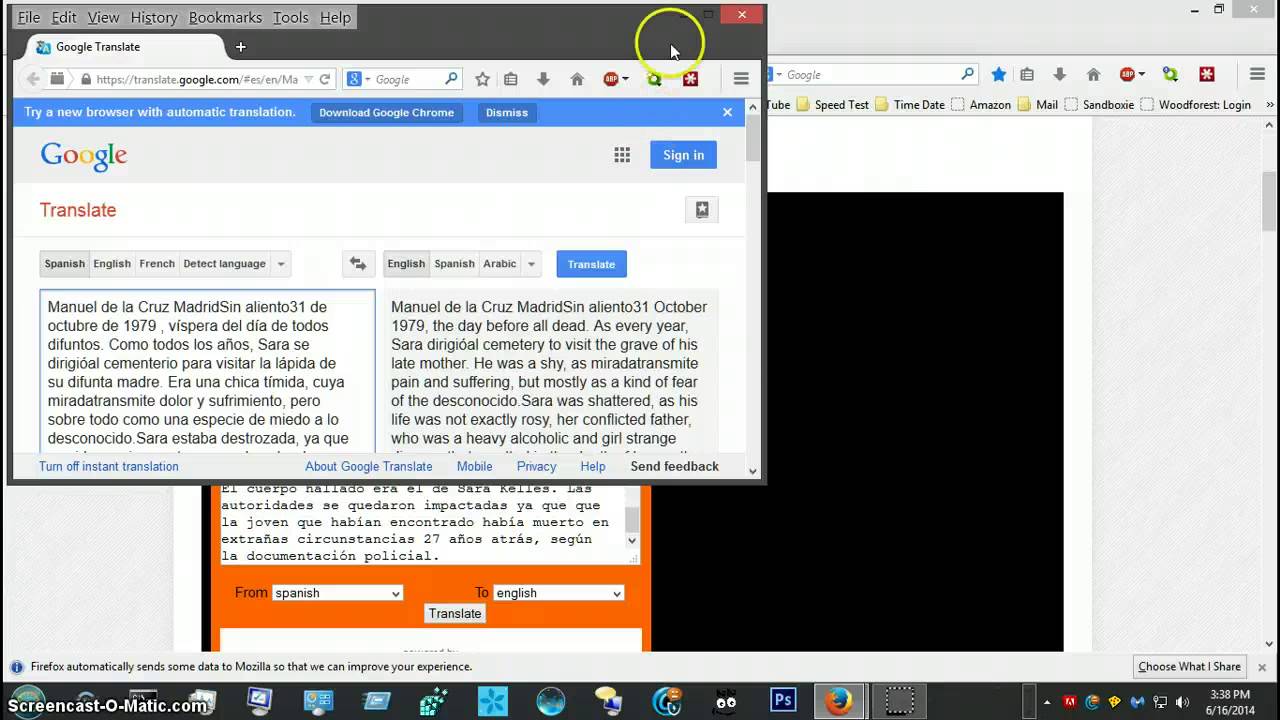 The Babblefish Translator