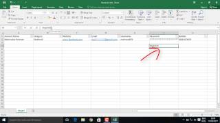 Make Password storage with Excel